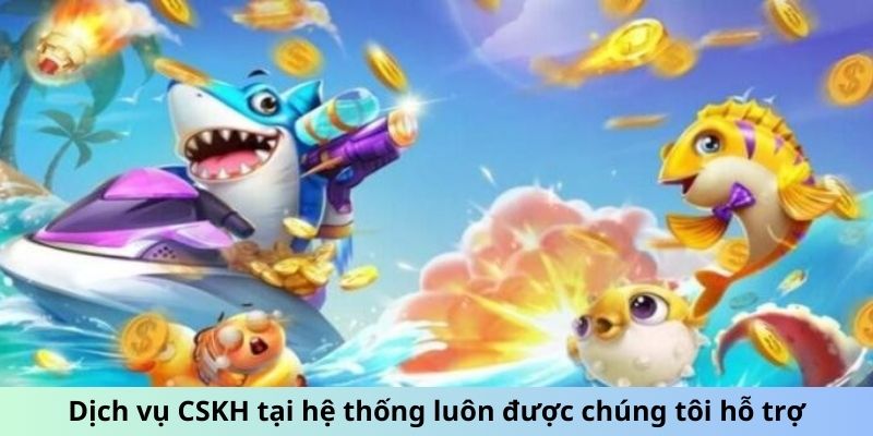 Dịch vụ CSKH tại hệ thống luôn được chúng tôi hỗ trợ
