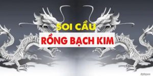 Rồng Bạch Kim - Bí quyết soi cầu đỉnh cao tại nhà cái 69VN