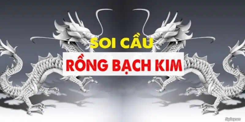 Rồng Bạch Kim - Bí quyết soi cầu đỉnh cao tại nhà cái 69VN