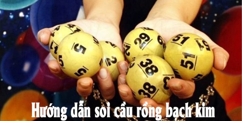 Rồng Bạch Kim là gì ? 